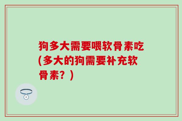 狗多大需要喂软骨素吃(多大的狗需要补充软骨素?) 狗多大需要喂软骨素吃(多大的狗需要补充软骨素?)