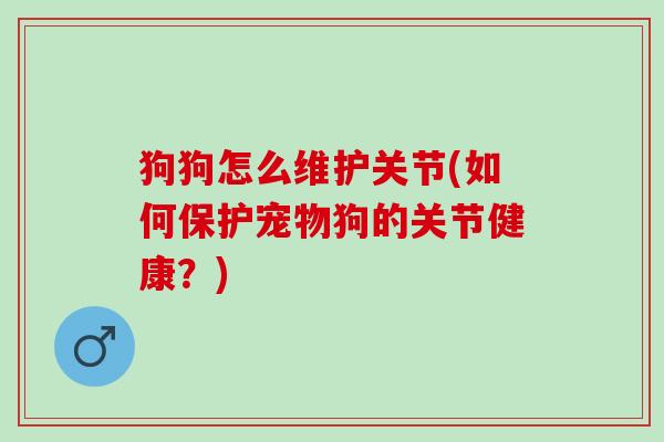 狗狗怎么维护关节(如何保护宠物狗的关节健康？)