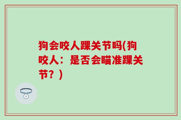 狗会咬人踝关节吗(狗咬人：是否会瞄准踝关节？)
