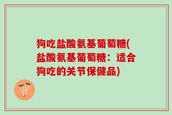 狗吃盐酸氨基葡萄糖(盐酸氨基葡萄糖：适合狗吃的关节保健品)