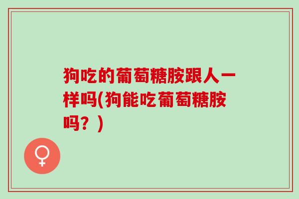 狗吃的葡萄糖胺跟人一样吗(狗能吃葡萄糖胺吗？)