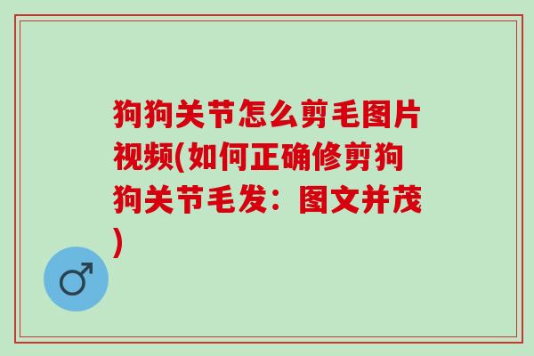 狗狗关节怎么剪毛图片视频(如何正确修剪狗狗关节毛发：图文并茂)