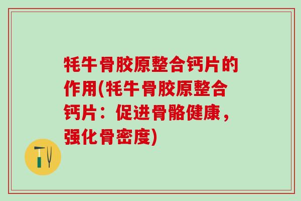 牦牛骨胶原整合钙片的作用(牦牛骨胶原整合钙片：促进骨骼健康，强化骨密度)