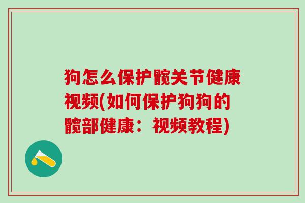 狗怎么保护髋关节健康视频(如何保护狗狗的髋部健康：视频教程)