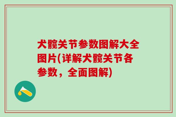 犬髋关节参数图解大全图片(详解犬髋关节各参数，全面图解)