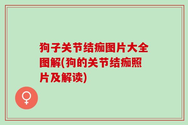 狗子关节结痂图片大全图解(狗的关节结痂照片及解读)