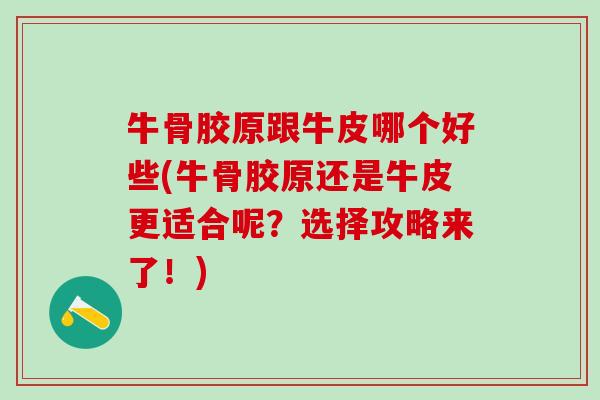 牛骨胶原跟牛皮哪个好些(牛骨胶原还是牛皮更适合呢？选择攻略来了！)