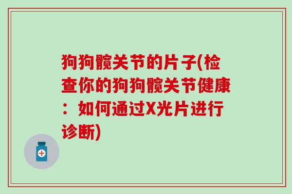 狗狗髋关节的片子(检查你的狗狗髋关节健康：如何通过X光片进行诊断)
