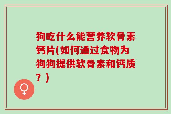 狗吃什么能营养软骨素钙片(如何通过食物为狗狗提供软骨素和钙质？)