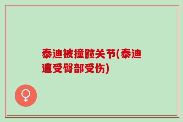 泰迪被撞髋关节(泰迪遭受臀部受伤)