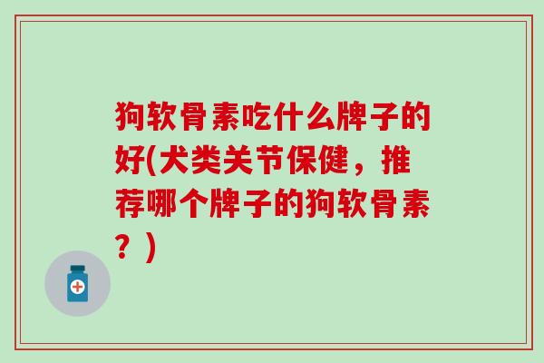 狗软骨素吃什么牌子的好(犬类关节保健，推荐哪个牌子的狗软骨素？)
