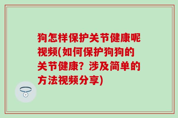 狗怎样保护关节健康呢视频(如何保护狗狗的关节健康？涉及简单的方法视频分享)