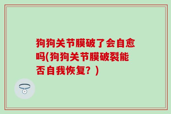 狗狗关节膜破了会自愈吗(狗狗关节膜破裂能否自我恢复？)