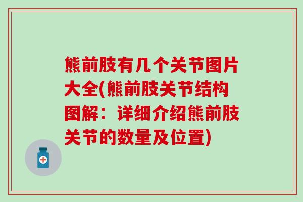 熊前肢有几个关节图片大全(熊前肢关节结构图解：详细介绍熊前肢关节的数量及位置)