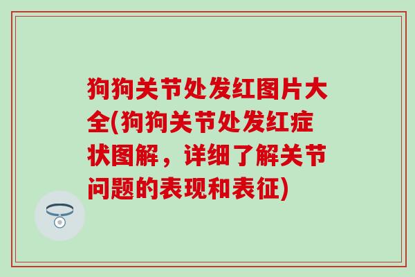 狗狗关节处发红图片大全(狗狗关节处发红症状图解，详细了解关节问题的表现和表征)