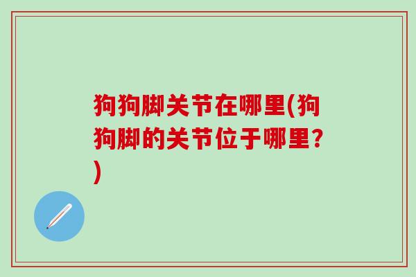 狗狗脚关节在哪里(狗狗脚的关节位于哪里？)