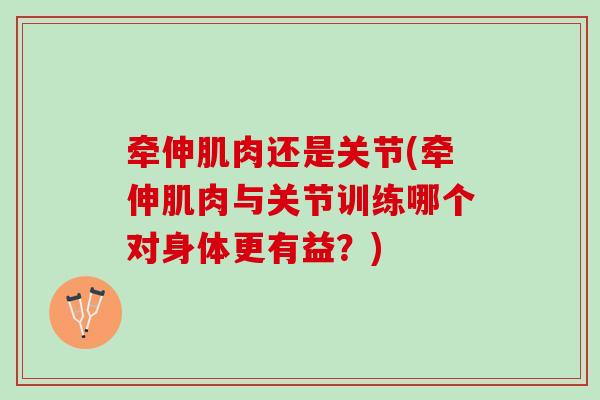 牵伸肌肉还是关节(牵伸肌肉与关节训练哪个对身体更有益？)
