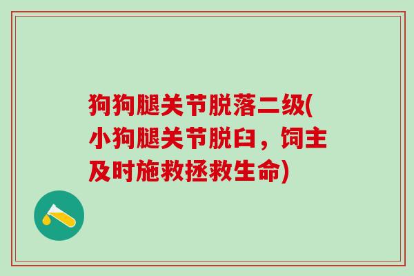狗狗腿关节脱落二级(小狗腿关节脱臼，饲主及时施救拯救生命)