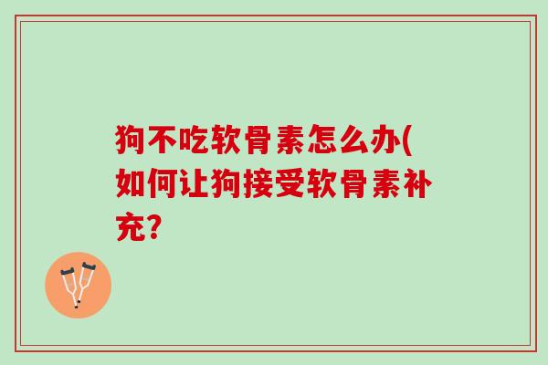 狗不吃软骨素怎么办(如何让狗接受软骨素补充？