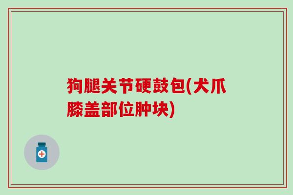 狗腿关节硬鼓包(犬爪膝盖部位肿块)