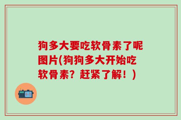 狗多大要吃软骨素了呢图片(狗狗多大开始吃软骨素?赶紧了解!) 狗多大要吃软骨素了呢图片(狗狗多大开始吃软骨素?赶紧了解!)