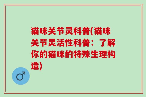 猫咪关节灵科普(猫咪关节灵活性科普：了解你的猫咪的特殊生理构造)