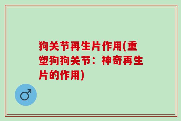 狗关节再生片作用(重塑狗狗关节：神奇再生片的作用)