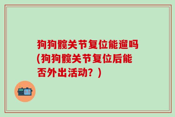 狗狗髋关节复位能遛吗(狗狗髋关节复位后能否外出活动？)