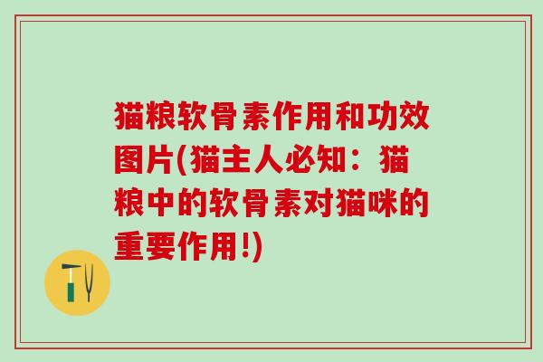 猫粮软骨素作用和功效图片(猫主人必知：猫粮中的软骨素对猫咪的重要作用!)