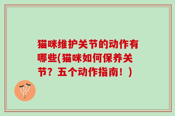 猫咪维护关节的动作有哪些(猫咪如何保养关节？五个动作指南！)