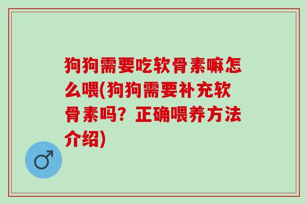 狗狗需要吃软骨素嘛怎么喂(狗狗需要补充软骨素吗？正确喂养方法介绍)