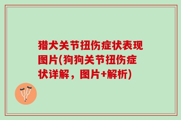 猎犬关节扭伤症状表现图片(狗狗关节扭伤症状详解，图片+解析)