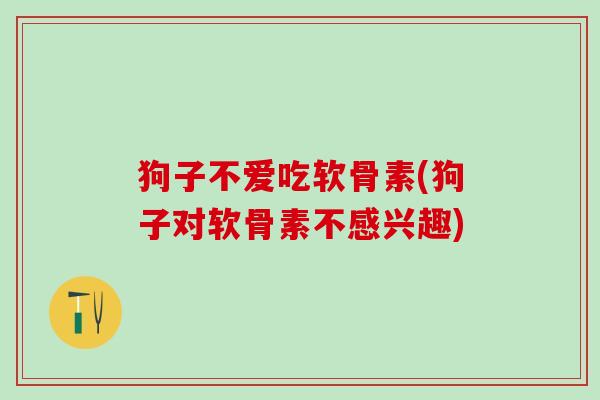 狗子不爱吃软骨素(狗子对软骨素不感兴趣)