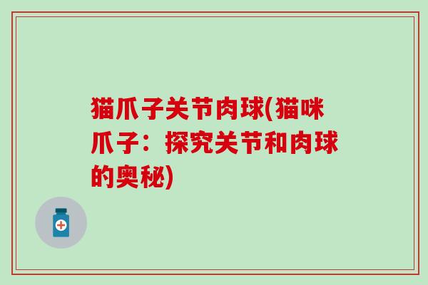 猫爪子关节肉球(猫咪爪子：探究关节和肉球的奥秘)