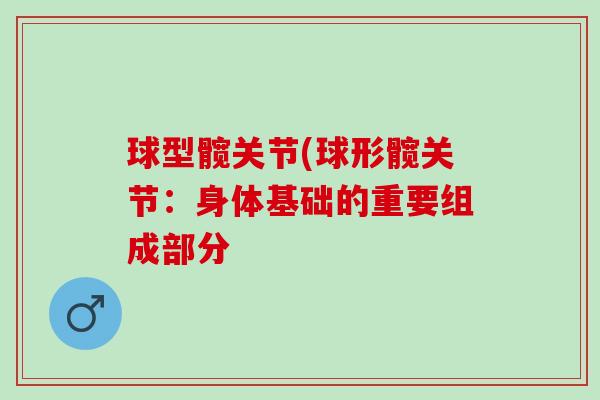球型髋关节(球形髋关节：身体基础的重要组成部分