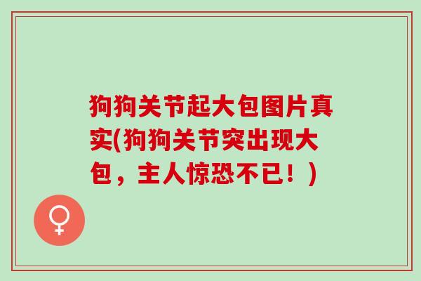狗狗关节起大包图片真实(狗狗关节突出现大包，主人惊恐不已！)
