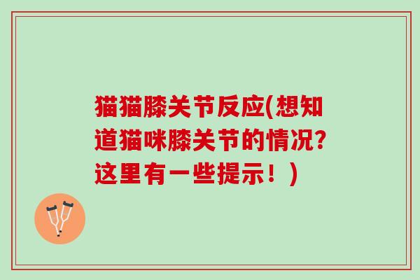 猫猫膝关节反应(想知道猫咪膝关节的情况？这里有一些提示！)