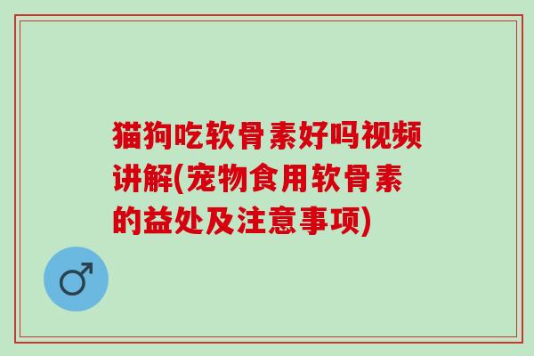 猫狗吃软骨素好吗视频讲解(宠物食用软骨素的益处及注意事项)