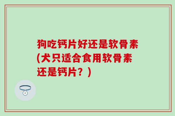 狗吃钙片好还是软骨素(犬只适合食用软骨素还是钙片？)