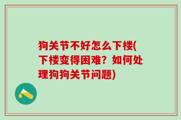 狗关节不好怎么下楼(下楼变得困难？如何处理狗狗关节问题)