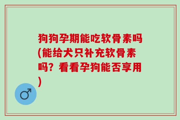 狗狗孕期能吃软骨素吗(能给犬只补充软骨素吗？看看孕狗能否享用)