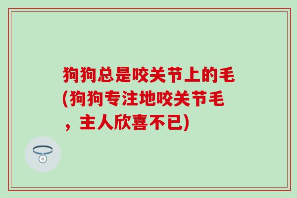 狗狗总是咬关节上的毛(狗狗专注地咬关节毛，主人欣喜不已)