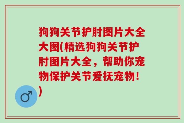 狗狗关节护肘图片大全大图(精选狗狗关节护肘图片大全，帮助你宠物保护关节爱抚宠物！)