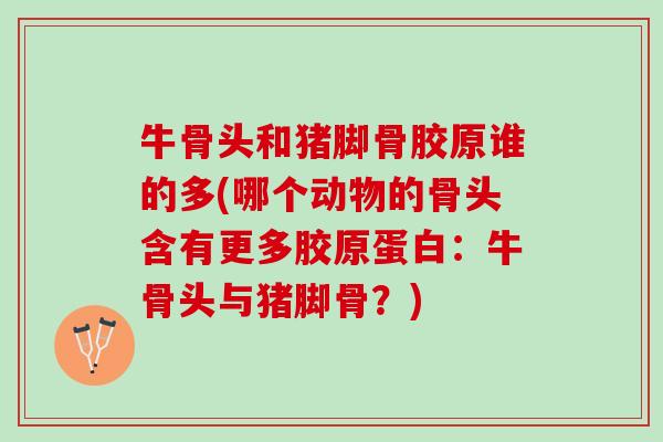牛骨头和猪脚骨胶原谁的多(哪个动物的骨头含有更多胶原蛋白：牛骨头与猪脚骨？)
