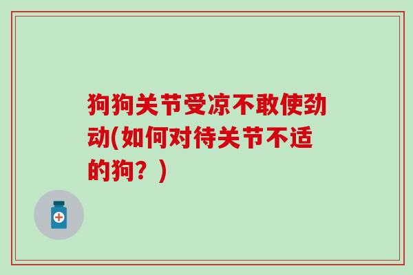 狗狗关节受凉不敢使劲动(如何对待关节不适的狗？)