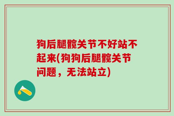 狗后腿髋关节不好站不起来(狗狗后腿髋关节问题，无法站立)