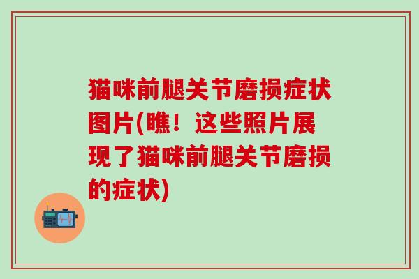猫咪前腿关节磨损症状图片(瞧！这些照片展现了猫咪前腿关节磨损的症状)