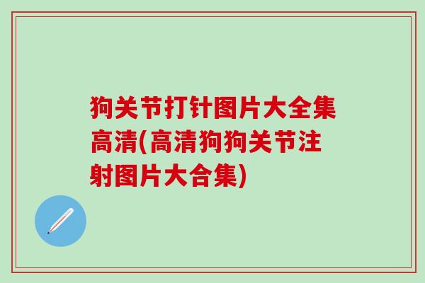 狗关节打针图片大全集高清(高清狗狗关节注射图片大合集)