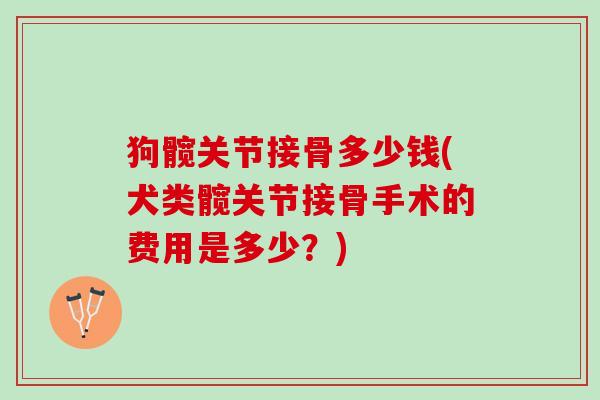 狗髋关节接骨多少钱(犬类髋关节接骨手术的费用是多少？)