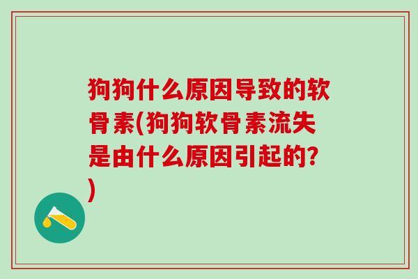 狗狗什么原因导致的软骨素(狗狗软骨素流失是由什么原因引起的？)